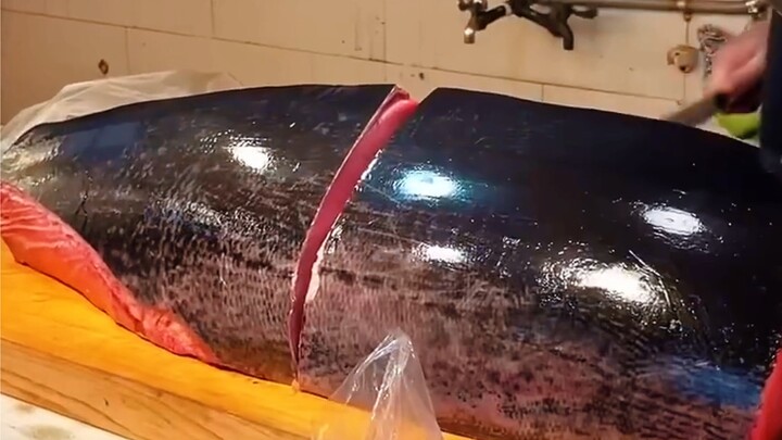 Cutting open a tuna worth hundreds of thousands—something you've never seen before, right?