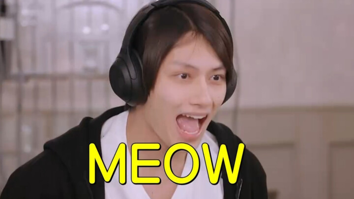 【เซเว่นทีน】ปฏิกิริยาของเพื่อนร่วมทีมบางคนหลังจากลูกแมวเมี๊ยว (คนที่สอง: รักจนตายเลย)