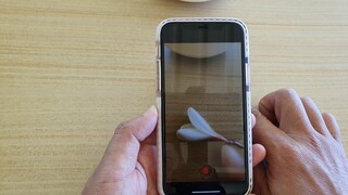 How to Record Time Lapse Video on iPhone 11 Pro | IOS 13