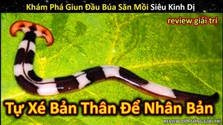 Nom Nom Review Khám Phá Giun Đầu Búa Hóa Lỏng Con Mồi Siêu Kinh Dị || Review Giải Trí Đời Sống