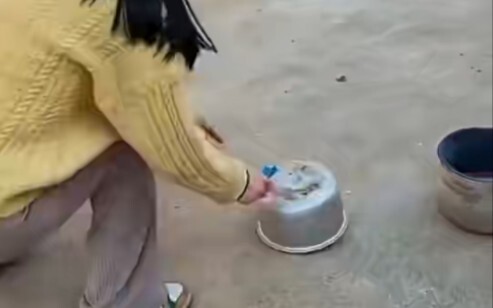 หมา: ทุกปีช่วงนี้ชามข้าวของฉันมักจะบินอยู่บนฟ้า