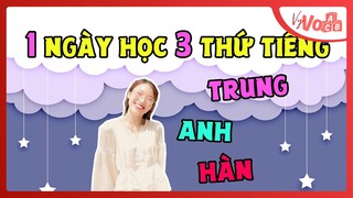 Học Tiếng Anh, Hàn, Trung trong 1 ngày | Review Cao Đẳng Quốc Tế Hà Nội | VyVocab Ep.59