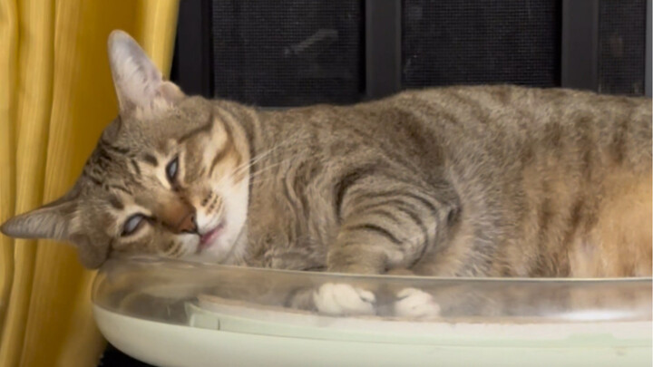 Perlu dijelaskan kepada semua orang