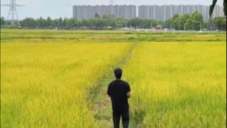 我能看到的是，中山真的越来越好了！