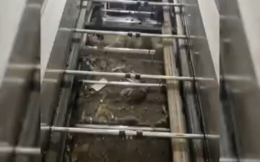 Does this elevator go straight to heaven?