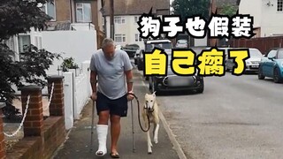 تلك الحيوانات التي لا تمشي بالوضعيات المعتادة!