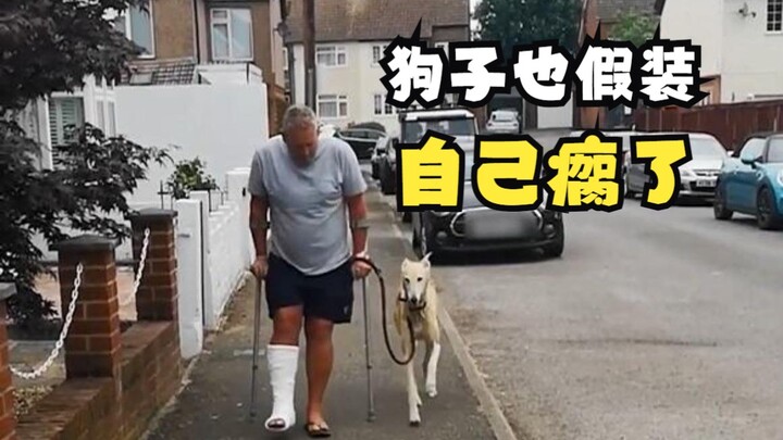 Hewan-hewan yang tidak berjalan dengan posisi biasa!