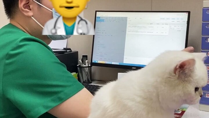 หลังจากไปเดตกับแมวเน็ตไอดอลล้านฟอลโลเวอร์ ถังถังกลับกลายเป็นแบบนี้ไปได้ยังไง?!