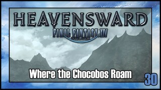 Final Fantasy 14 - Where the Chocobos Roam | Heavensward Main Scenario Quest | 4K60FPS