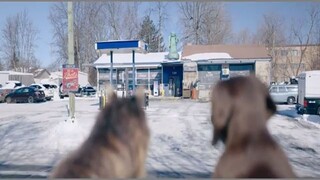 Cat And Dog (2024) |watch full movie : link in dscription