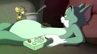 'Từ chối những con chó nhỏ mỗi ngày'