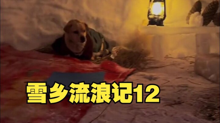 التجوال في بلاد الثلج اليوم الثاني عشر