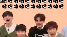 【SEVENTEEN】日常笑到整栋楼的声控灯为我亮起(搞笑向)
