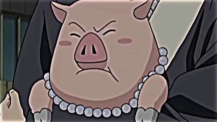 salting nggak tuh🗿