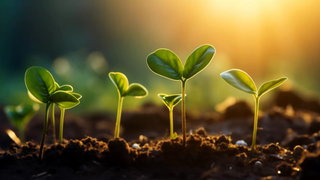 "FishC" Lagu Pemrograman Demo01, lagu mana yang paling enak didengar❓