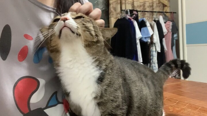 Who’s being such a clingy one?