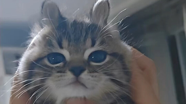 มันน่ารักมาก ทำเอาฉันใจละลายเลย