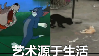 【现实版猫和老鼠】猫和老鼠诚不欺我 ！