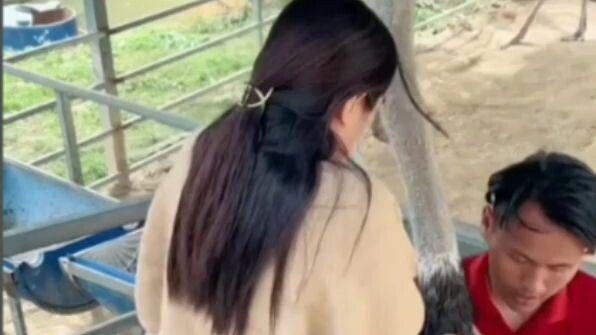 ostrich Ride 💞😅