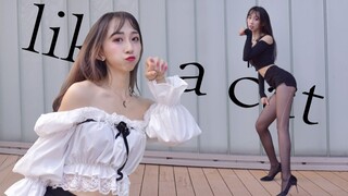 【Sinar酱】Like a cat♥Vertical screen wild catღ