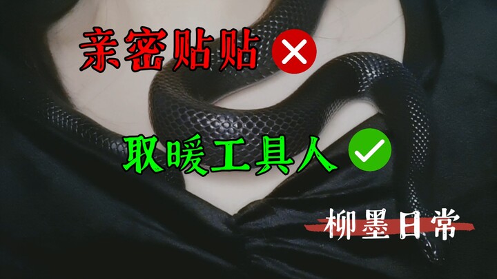 【งูดำราชา】งูของคนอื่นเวลาหนาวก็มุดเข้าไปในข้อมือ ทว่าหลิ่วโม๋กลับไม่ทำ_(:зゝ∠)_