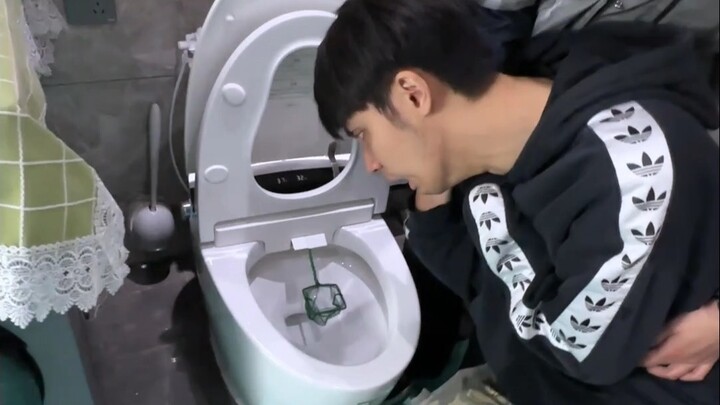 “The King of Home Renovation” 8