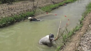 CÁ MÈ DINH KHO LẠT TRÁI GIÁC -T483