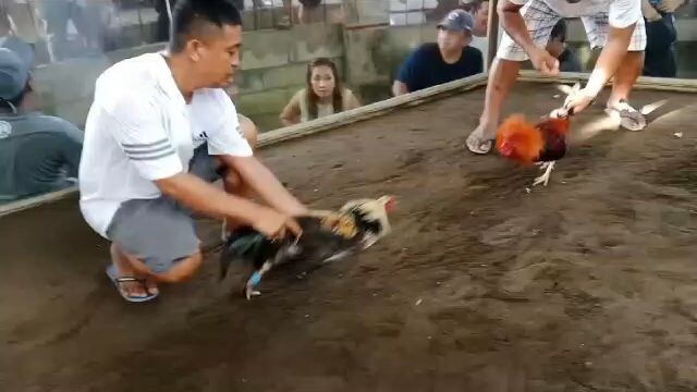 Fastest kill