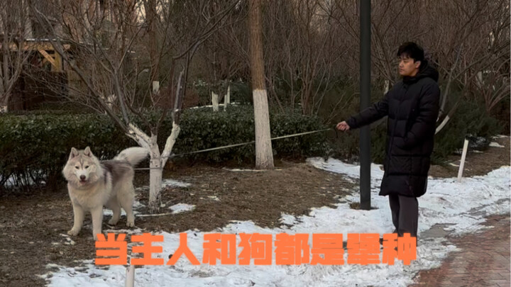 Stubborn, huh? Who could possibly out-stubborn you two?