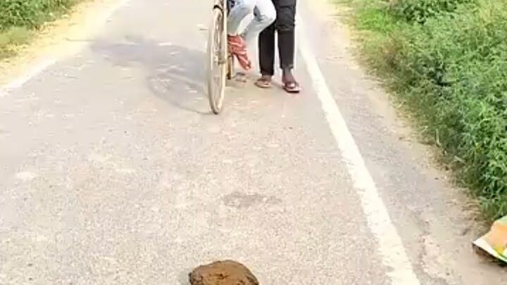 कॉमेडी वीडियो