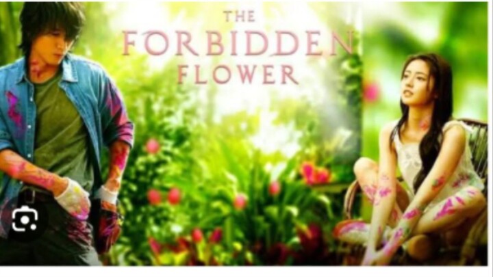 THE FORBIDDEN FLOWER Episode 17 Tagalog Dubbef