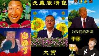 微  信  长  辈  表  情  包  大  赏