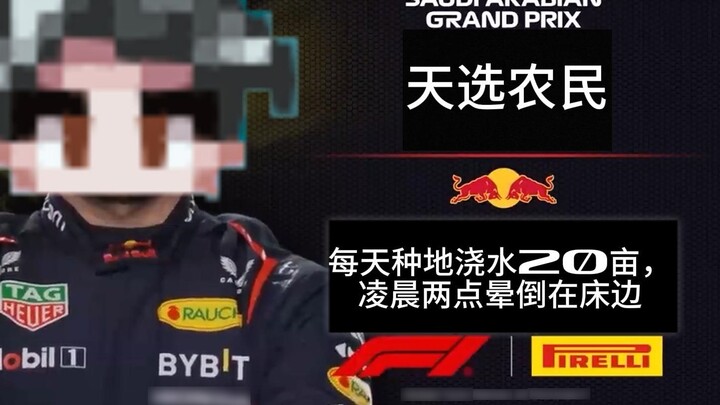 【Stardew Valley】Please select your online teammates