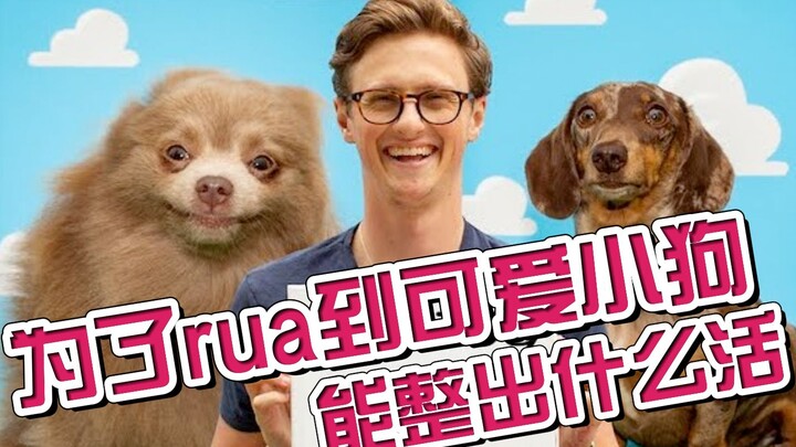 I set up a free dog photo booth just to get up close with all kinds of adorable pups.