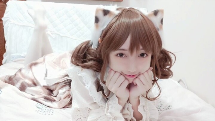 Tidak ada yang menghisap kucing lagi, ya sudahlah si gadis kucing saja
