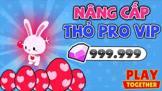Play Together | Nâng Cấp Pet "THỎ PRO MAX VIP" Tốn Kha Khá Kim Cương Nhưng Mà Đẹp ^^