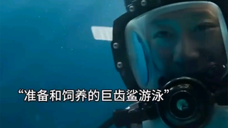 男人和自己养的巨齿鲨游泳。结果。