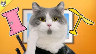 What happens when a cat gains access to a portal and a bamboo dragonfly?