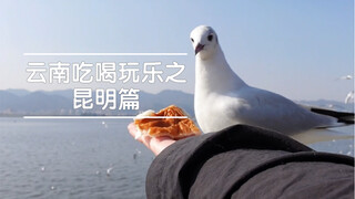 昆明作为中转站，只待半天，还有很多地方没走透，很遗憾没吃到小伙伴推荐的美食，但海埂大坝真的好看，记得戴帽子和眼镜拍照，别问我为什么～