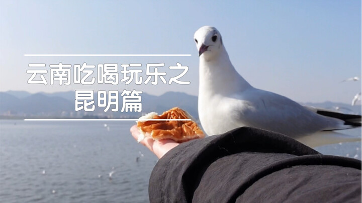 Kunming served as just a quick transit stop—only half a day! There are still so many places I didn’t