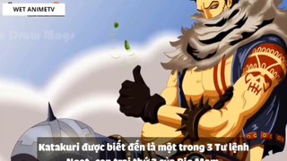 Top 6 Lệnh Truy Nã Mới Nhất Trong One Piece 2018 #1 4