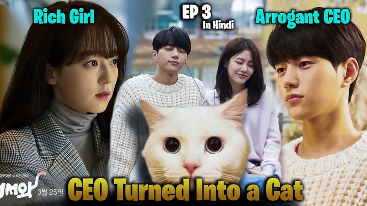 Cat CEO Fall in love with a Rude Girl #kdrama #kdramaexplainedinhindi #asiandramajunction