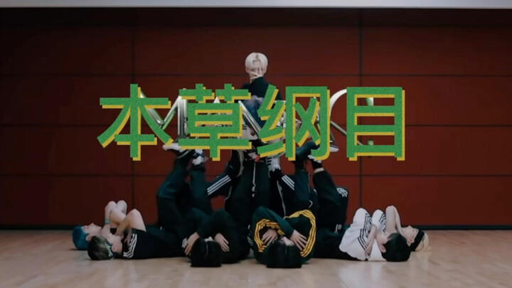 《maniac但是本草纲目》没点开前不知道有这么贴