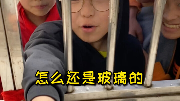 This kid is getting more and more particular and increasingly bold.