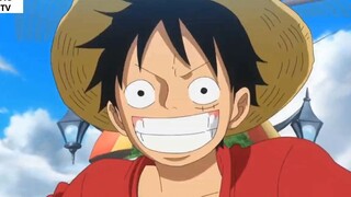 Tất tần tật về Poneglyphs_ Chiếc chìa khóa của Kho Báu và Lịch Sử- 1