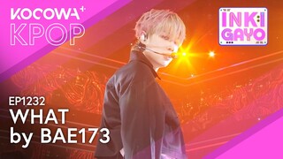 BAE173 - What | SBS Inkigayo EP1232 | KOCOWA+