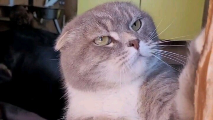 Забежал на минутку