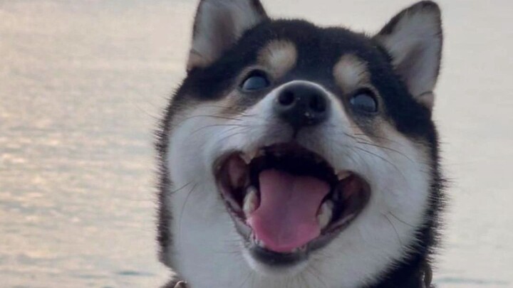 Catatan Man Yu Menikmati Laut