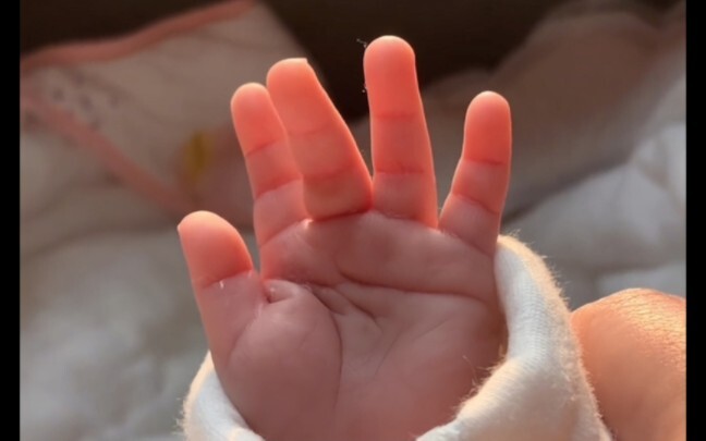 Bayi manusia itu lucu banget, ya!