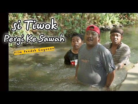 TIWOK PERGI KE SAWAH ||